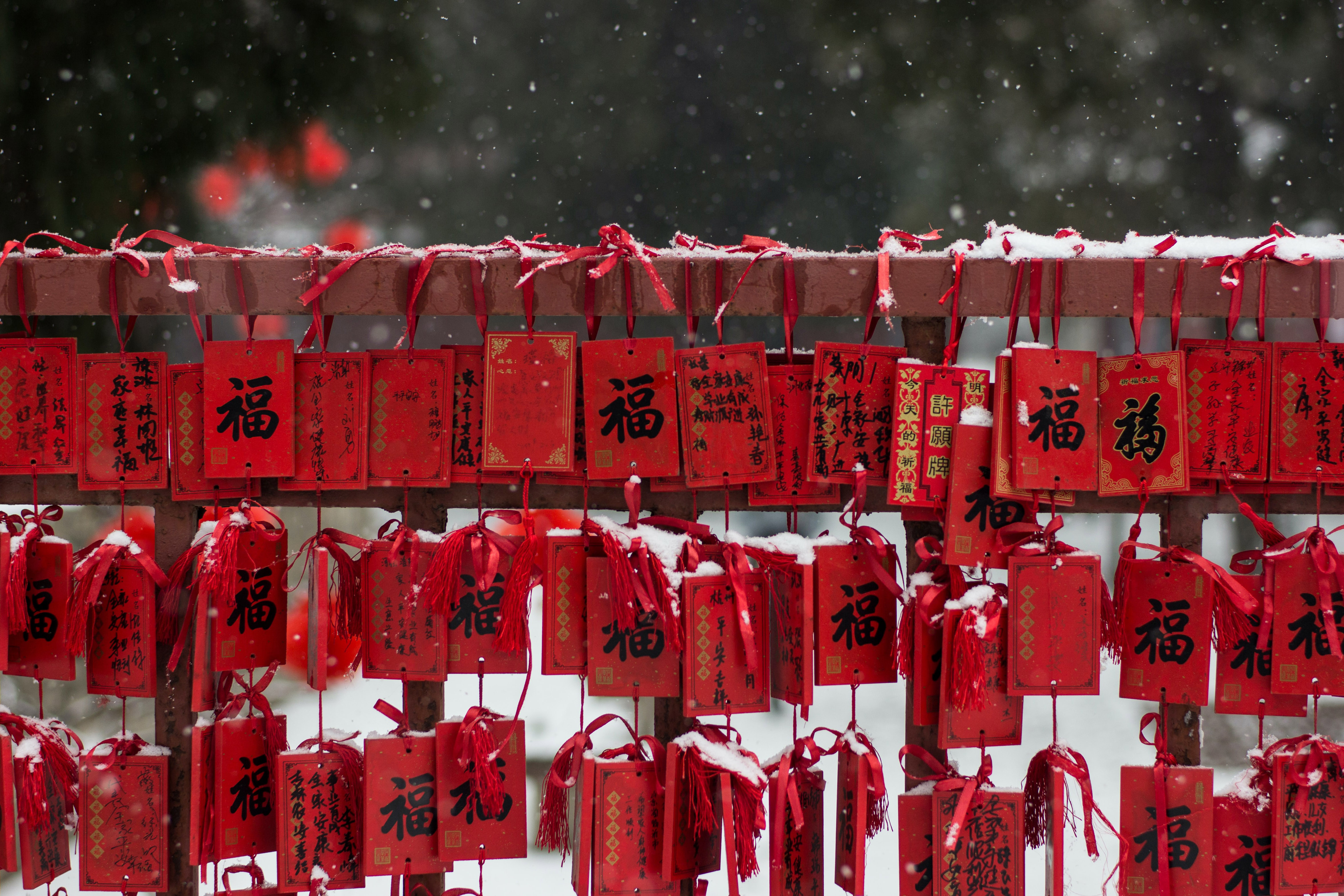 John Xiao 37OgpglSpM Unsplash