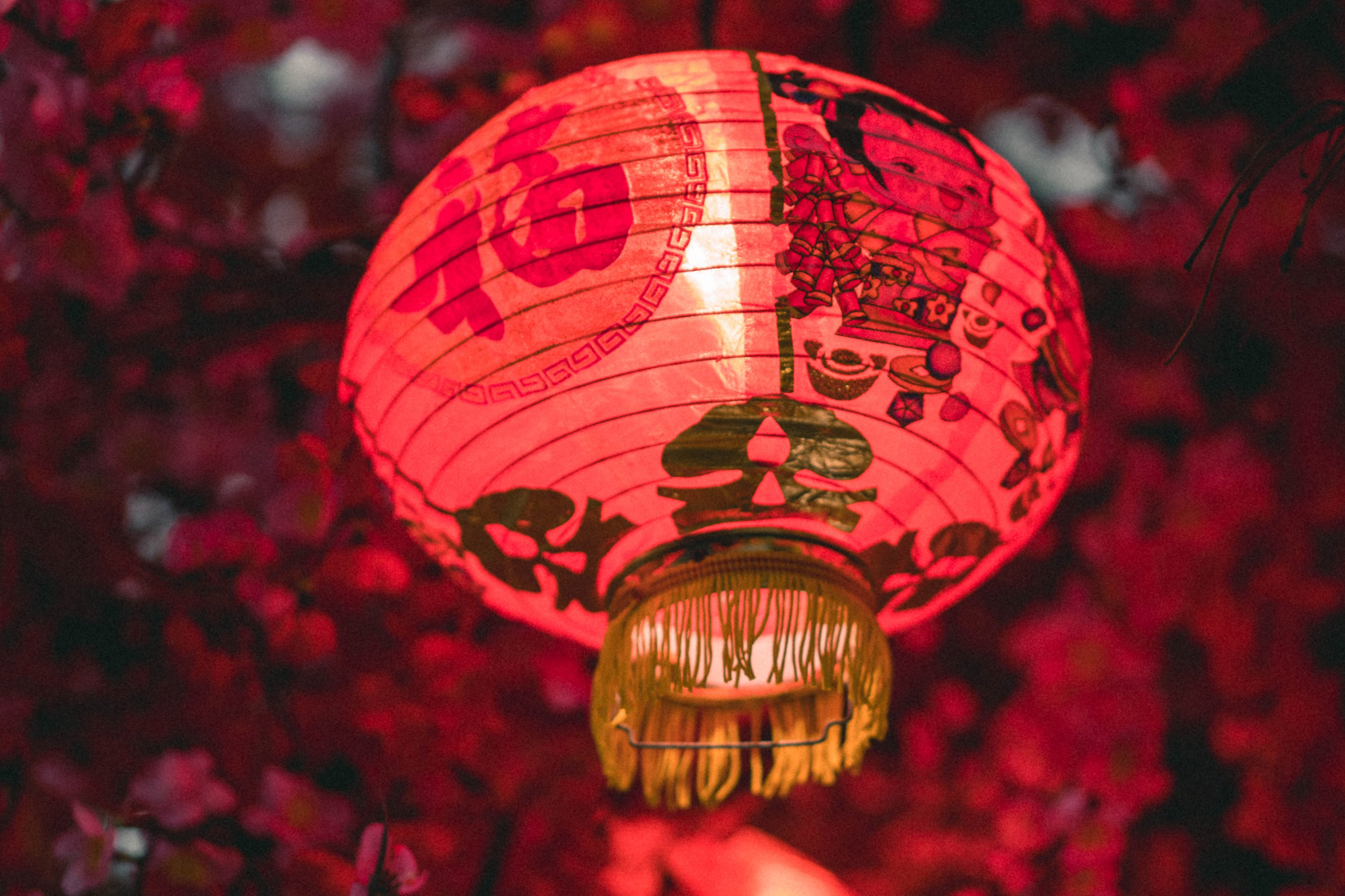 Sahil Pandita BsDlcGg9Nh4 Unsplash