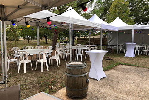 Guirlande Multicolore 1