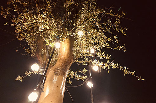 Photos Guirlande Vintage 1