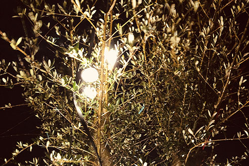 Photos Guirlande Vintage 2