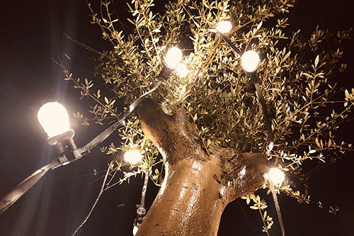 Photos Guirlande Vintage 4