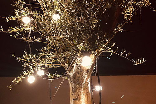 Photos Guirlande Vintage 5